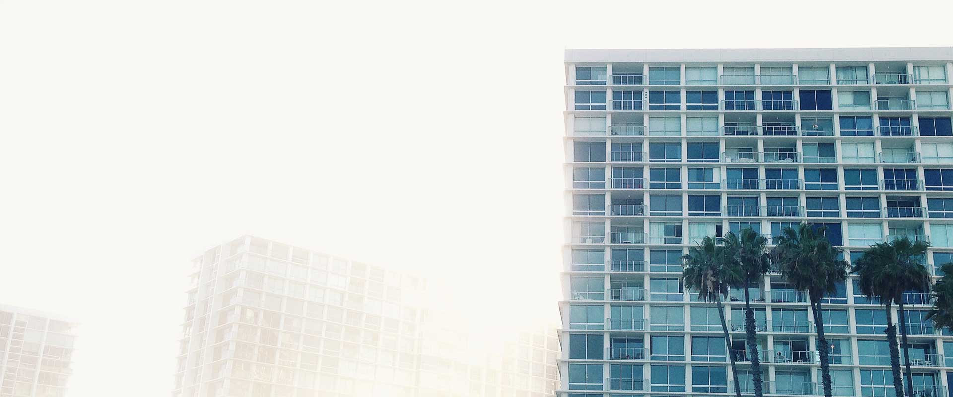 Business license in Dubai Business license in Dubai